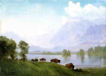 Buffalo Pays Albert Bierstadt Peinture à l'huile